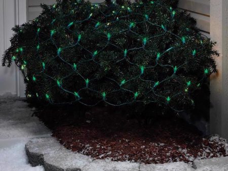 Celebrations LED Mini Green 100 ct Net Christmas Lights 6 ft. For Cheap